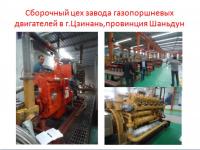 24.10.2016. Актуальность и эффективность замены нефтепродуктов и угля на местные виды топлива (щепа,пеллеты,брикеты)