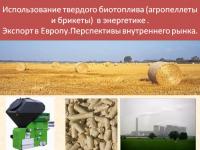 Использование твердого биотоплива (агропеллеты и брикеты) в энергетике